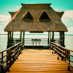 CAMPECHE: PATRIMONIO NATURAL DE MÉXICO